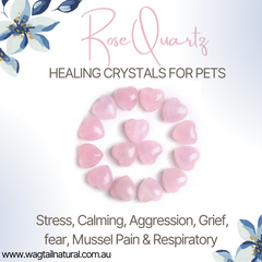 Rose Quartz Crystal Stress, Calming, Aggression, Grief, Fear, Muscle Pain and Respiratory Issues