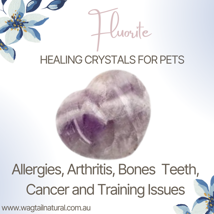 Fluorite Allergies, Arthritis, Bones, Teeth, Cancer and Training Issues